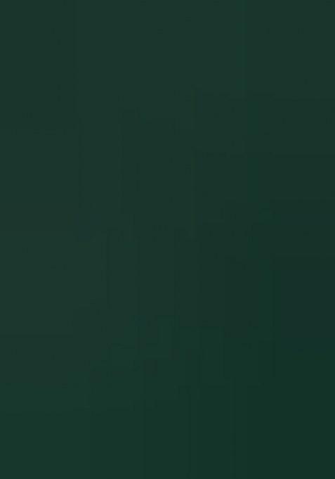 Green Jacquard Silk Saree Set