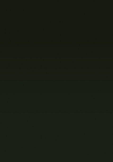 Henna Green Jacquard Silk Saree Set