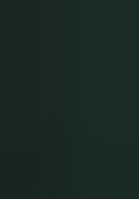 Green Jacquard Silk Saree Set