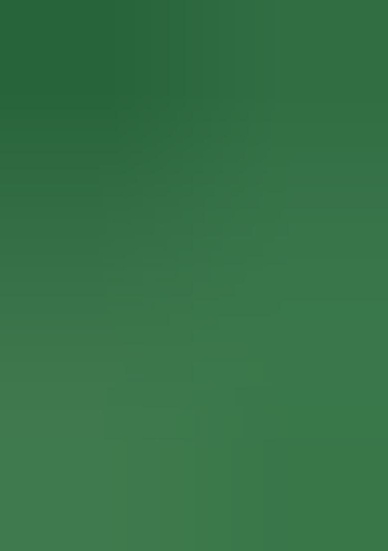 Green Jacquard Silk Saree Set