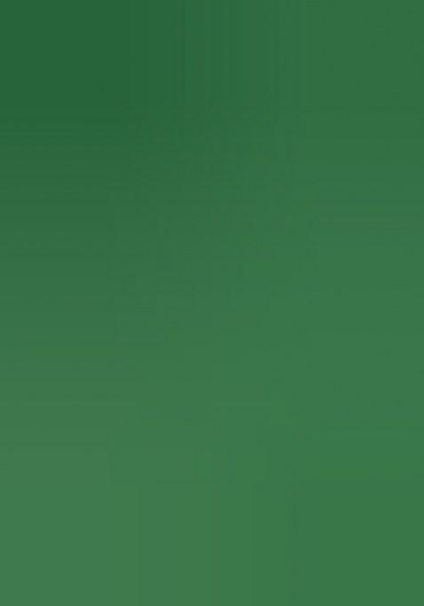 Green Jacquard Silk Saree Set