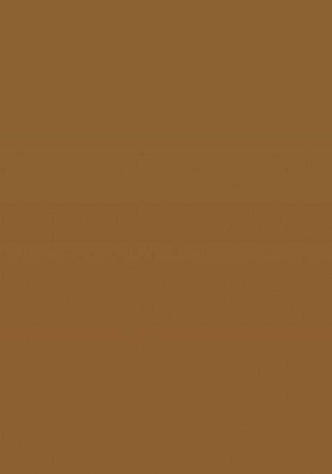 Gold Embroidered Banarasi Silk Saree Set