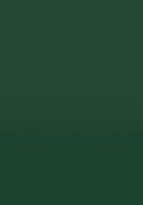 Green Embroidered Banarasi Silk Saree Set