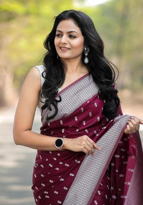 Brown Embroidered Banarasi Silk Saree Set