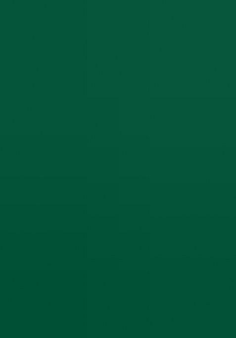 Green Embroidered Banarasi Silk Saree Set