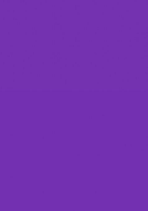 Purple Embroidered Banarasi Silk Saree Set