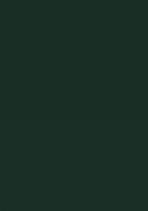 Green Embroidered Georgette Saree Set