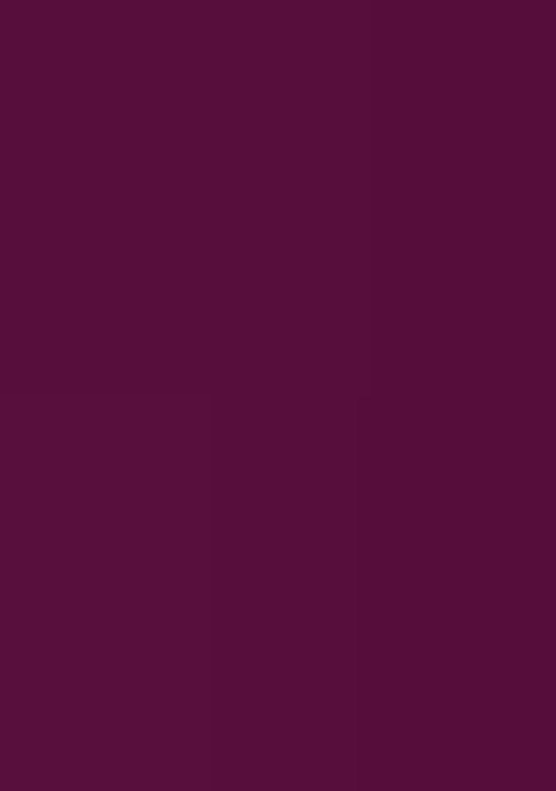 Wine Embroidered Georgette Saree Set