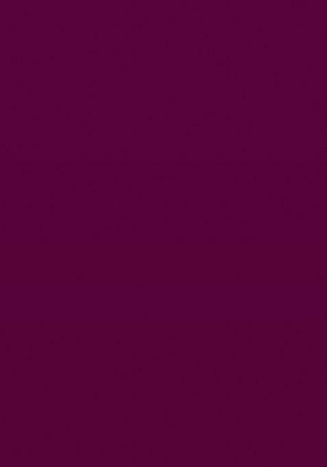 Wine Embroidered Chiffon Saree Set