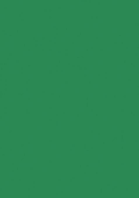 Light Green Embroidered Banarasi Silk Saree Set