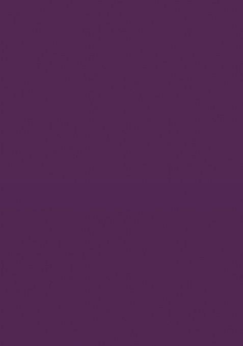 Wine Embroidered Banarasi Silk Saree Set