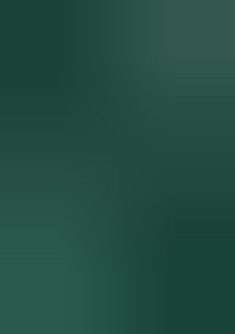 Green Embroidered Silk Saree Set