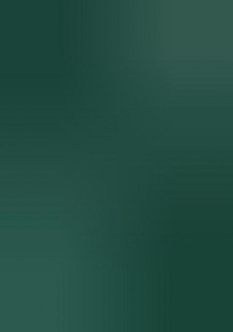 Green Embroidered Silk Saree Set