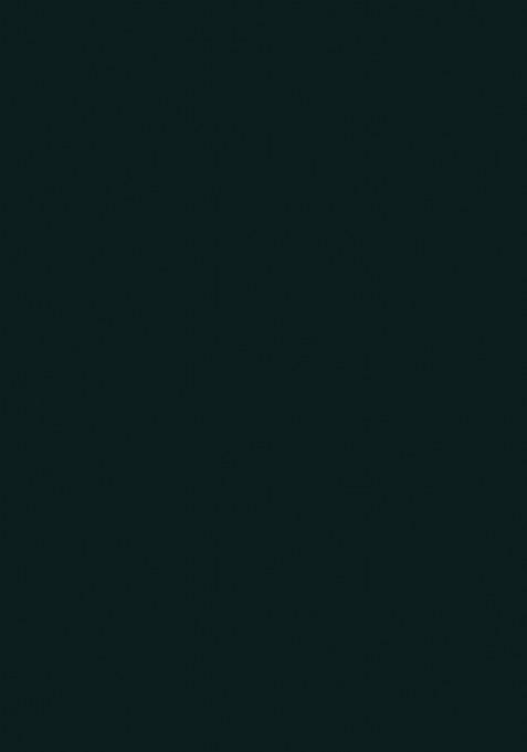 Green Sequence Georgette Saree Set