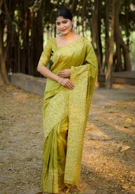 Pista Green Embroidered Raw Silk Saree Set