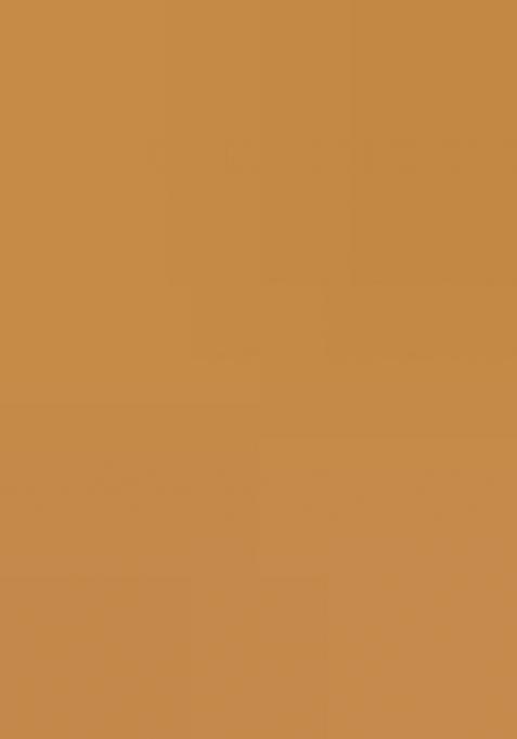 Yellow Zari Weaving Silk Saree Set