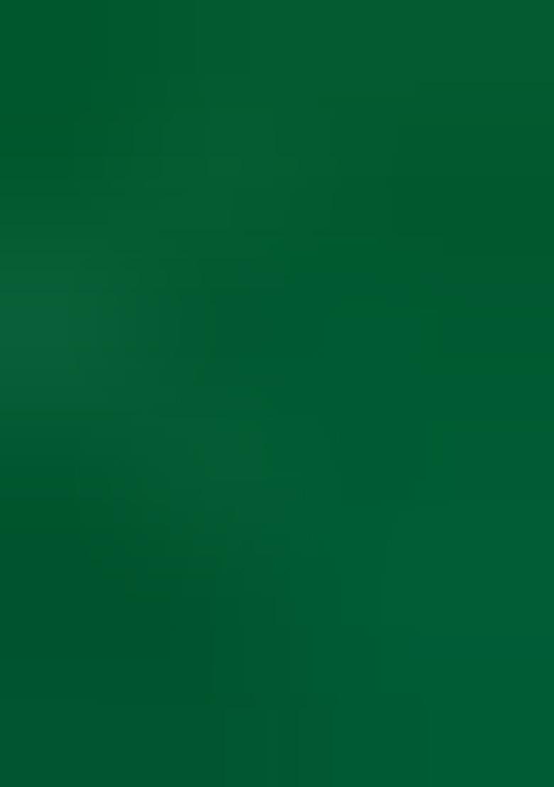 Green Jamdani Weaving Linen Silk Saree Set