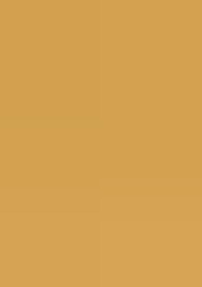 Yellow Zari Weaving Silk Saree Set