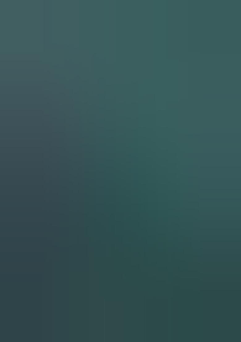 Green Meenakari Zari Weaving Pashmina Silk Saree Set