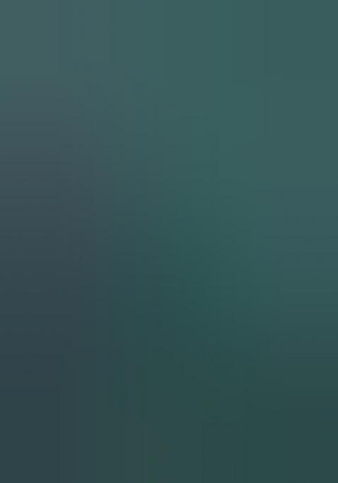 Green Meenakari Zari Weaving Pashmina Silk Saree Set