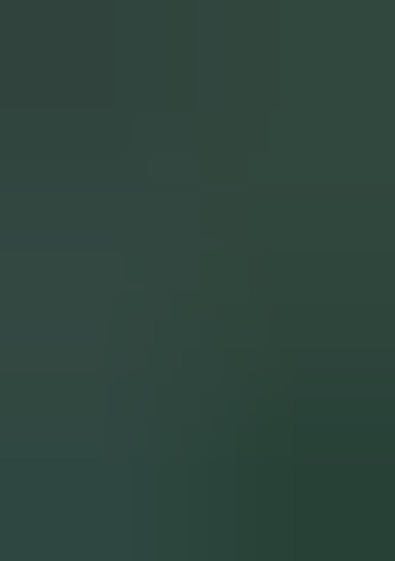 Green Meenakari Zari Weaving Pashmina Silk Saree Set