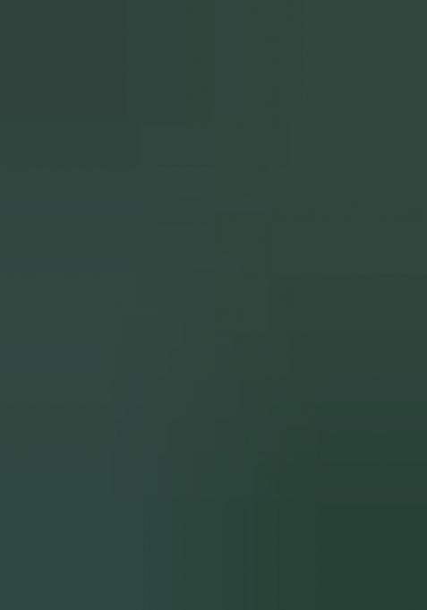 Green Meenakari Zari Weaving Pashmina Silk Saree Set