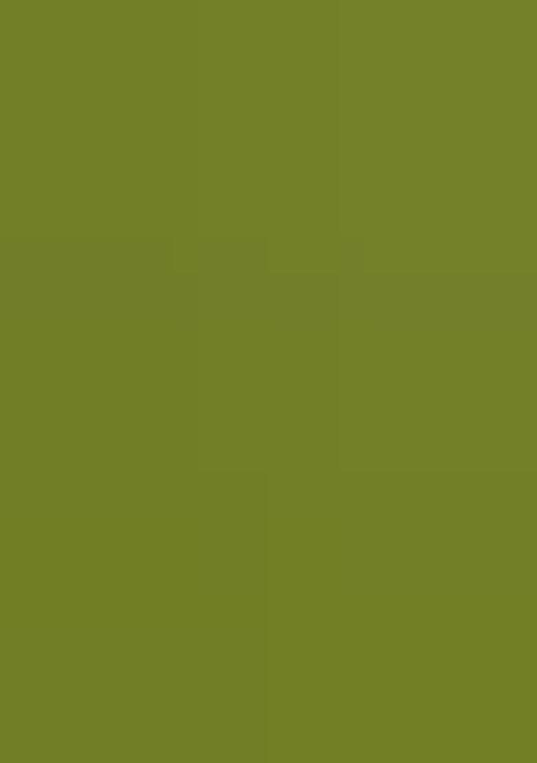 Pista Green Resham Weaving Raw Silk Saree Set