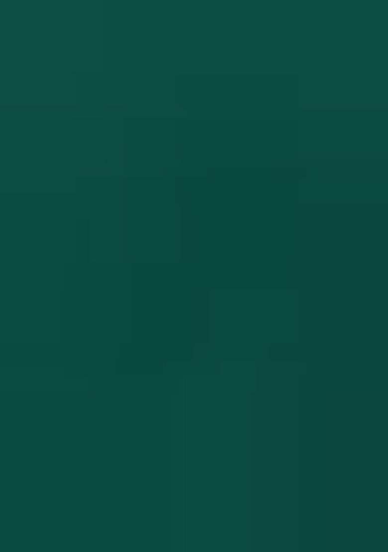 Green Jamdani Weaving Linen Silk Saree Set