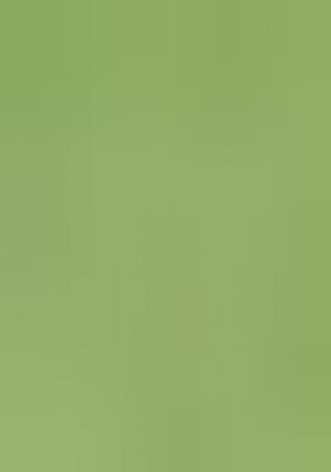 Pista Green Embroidered Raw Silk Saree Set