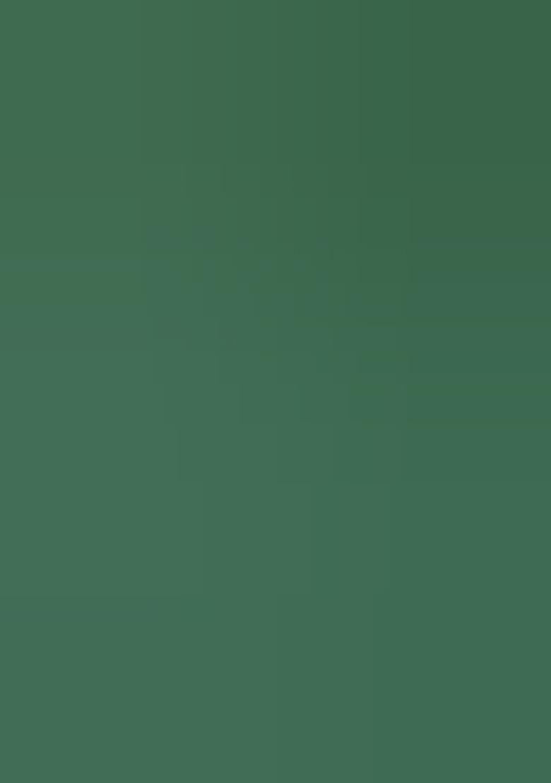 Pista Green Embroidered Raw Silk Saree Set