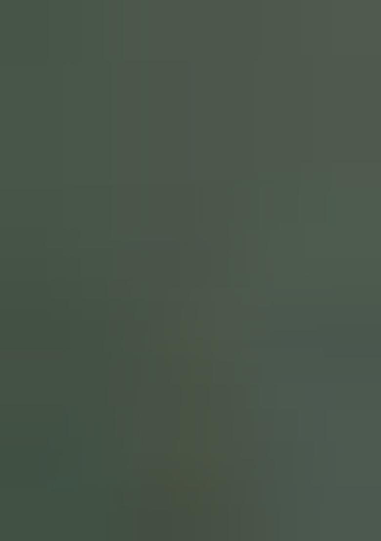 Green Embroidered Silk Saree Set