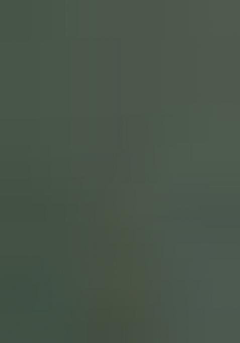 Green Embroidered Silk Saree Set