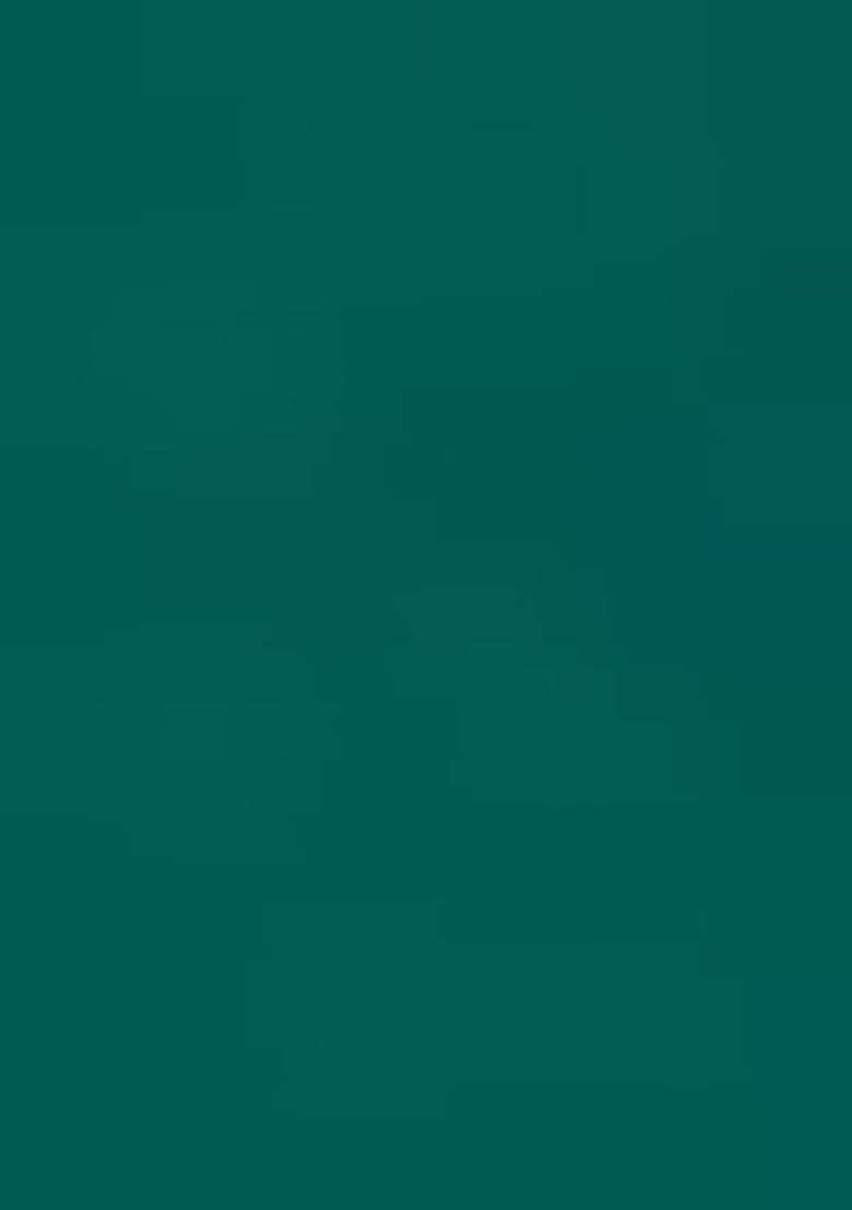 Green Embroidered Chiffon Saree Set