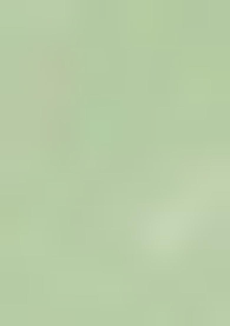 Green Printed Organza Saree Set