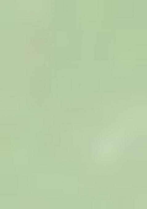 Green Printed Organza Saree Set