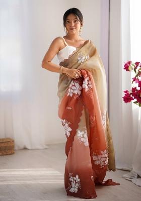 Multi Embroidered Chiffon Saree Set