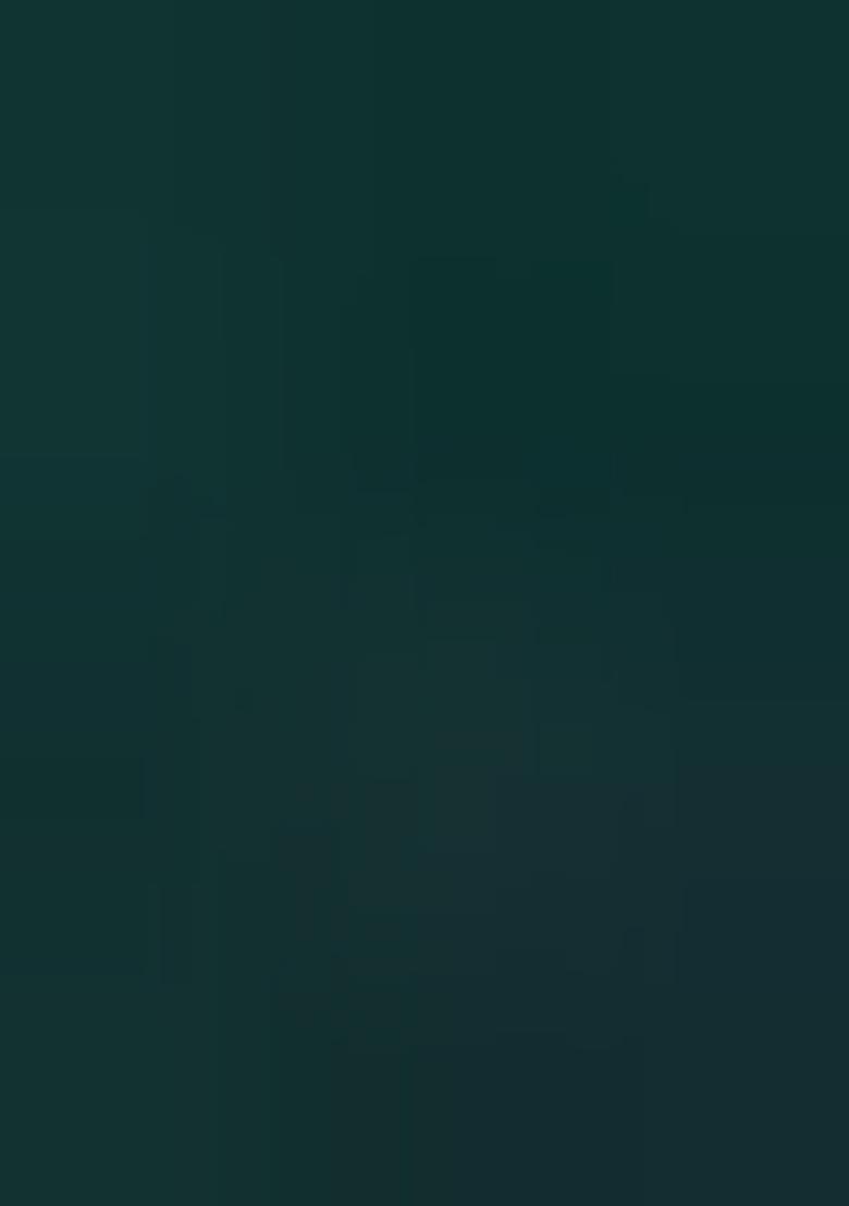 Green Embroidered Chiffon Saree Set