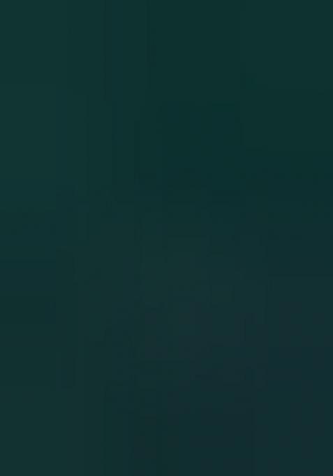 Green Embroidered Chiffon Saree Set