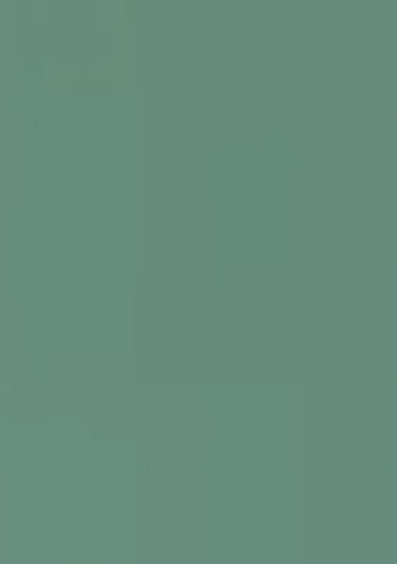 Green Embroidered Cotton Saree Set - Indya