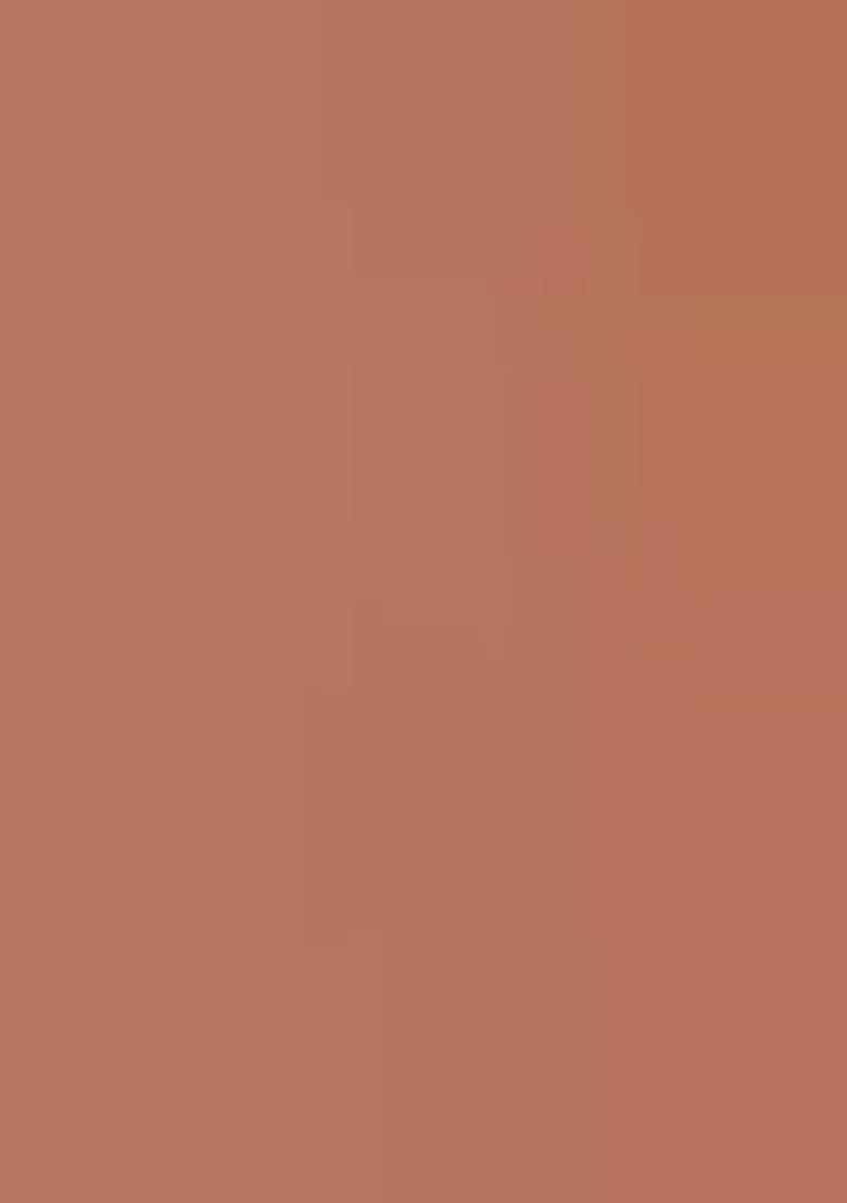 Peach Embroidered Net Saree Set