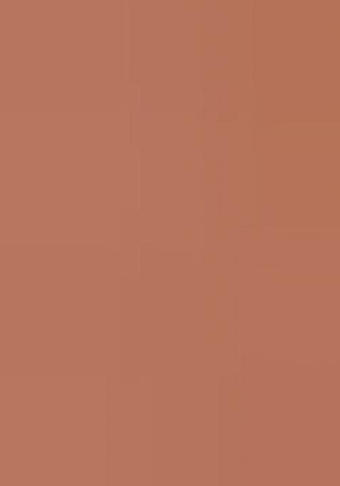 Peach Embroidered Net Saree Set