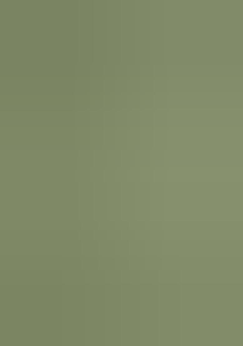 Green Embroidered Chiffon Saree Set