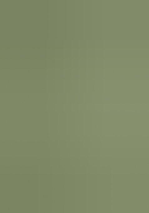 Green Embroidered Chiffon Saree Set