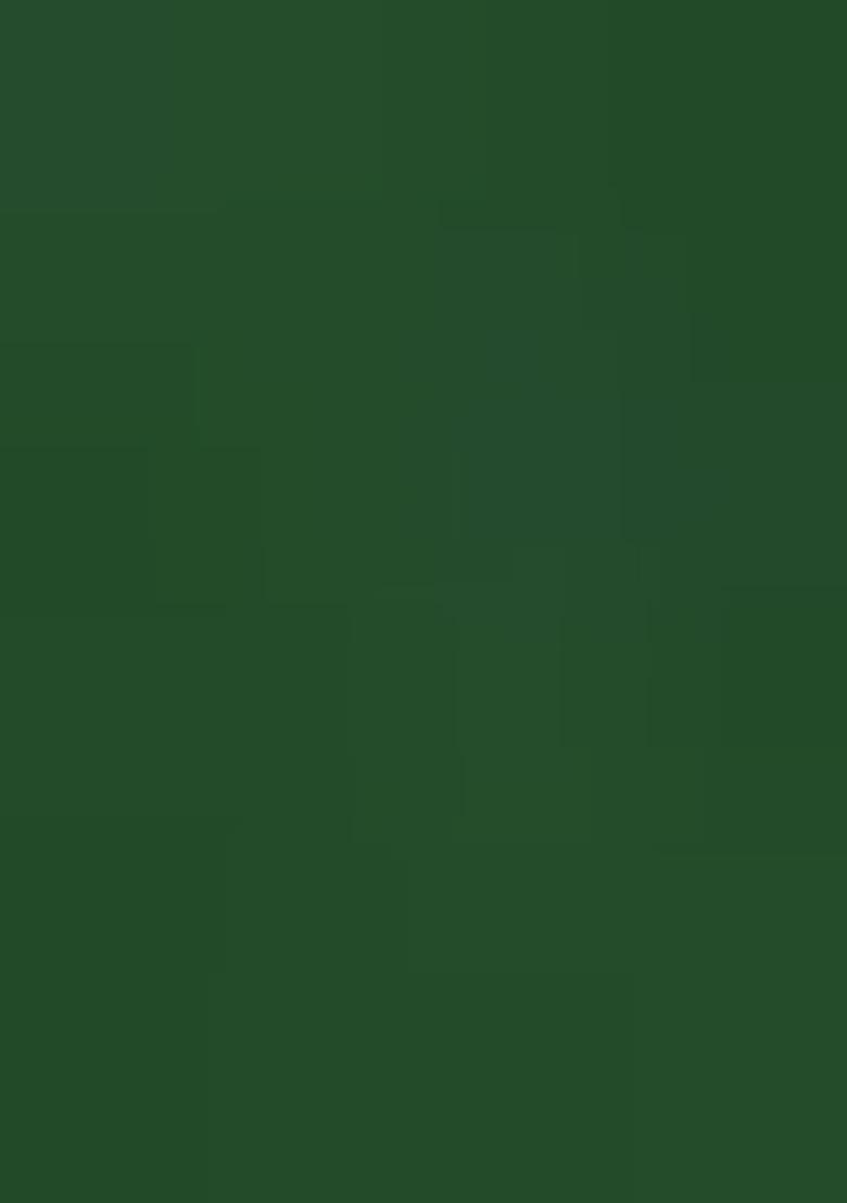 Green Embroidered Georgette Saree Set