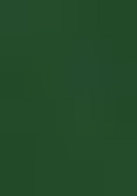 Green Embroidered Georgette Saree Set