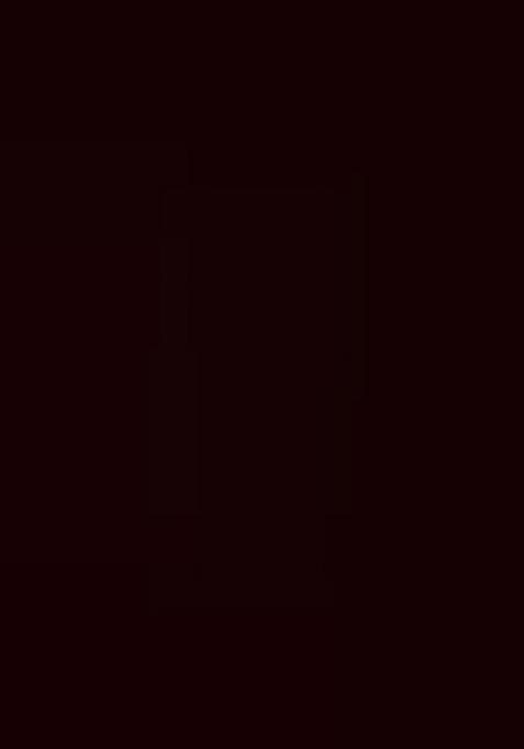 Wine Embroidered Georgette Saree Set