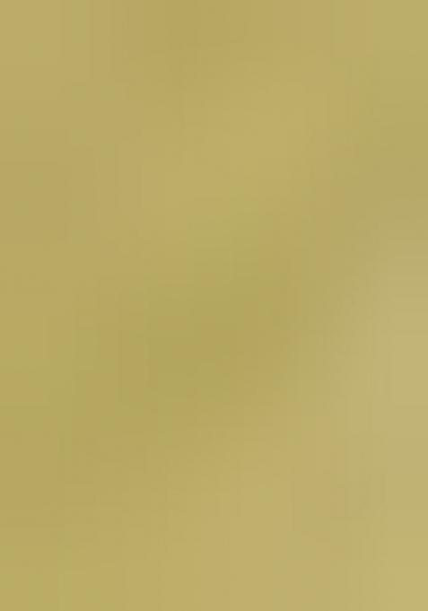 Green Embroidered Chiffon Saree Set