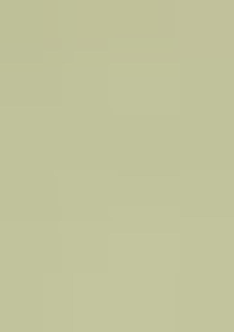 Green Embroidered Georgette Saree Set