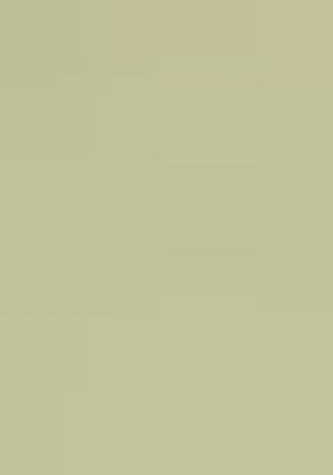 Green Embroidered Georgette Saree Set