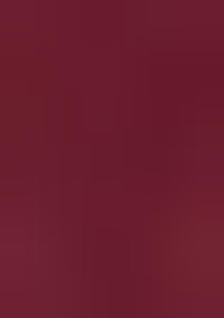 Maroon Embroidered Chiffon Saree Set